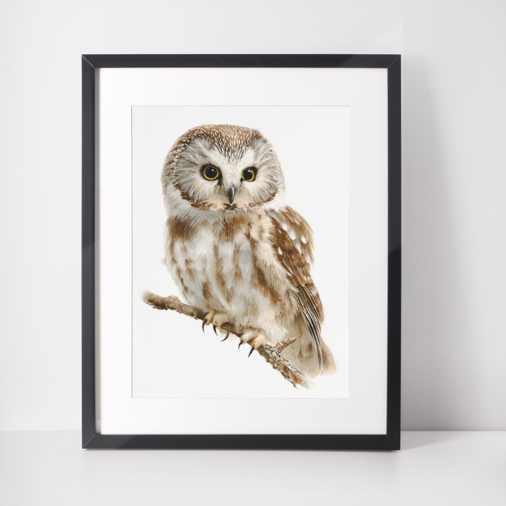 Watercolor Boreal Owl Portrait Wall Art Print Poster, Unframed - Charming - Picture 3 of 6